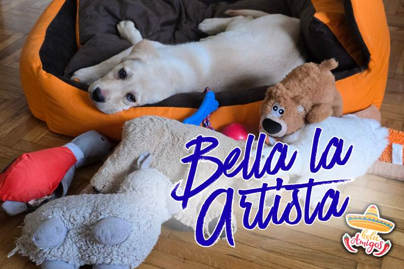 Bella la artista
